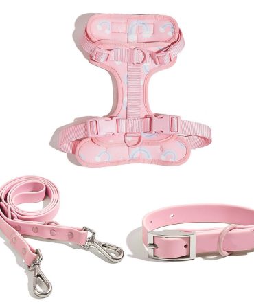 Cute Pattern Leash Set
