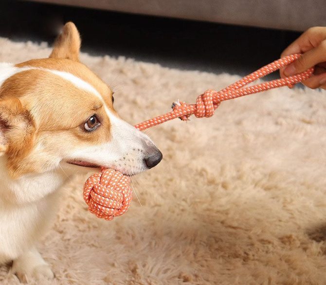 Interactive Pet Rope Toy - Image 2