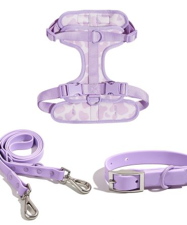 3-in-1 Dog Walking Set
