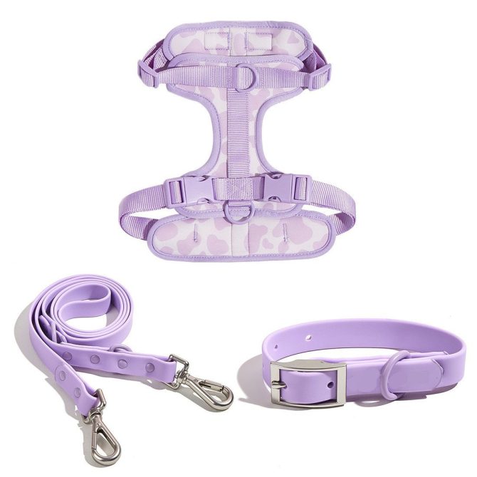3-in-1 Dog Walking Set