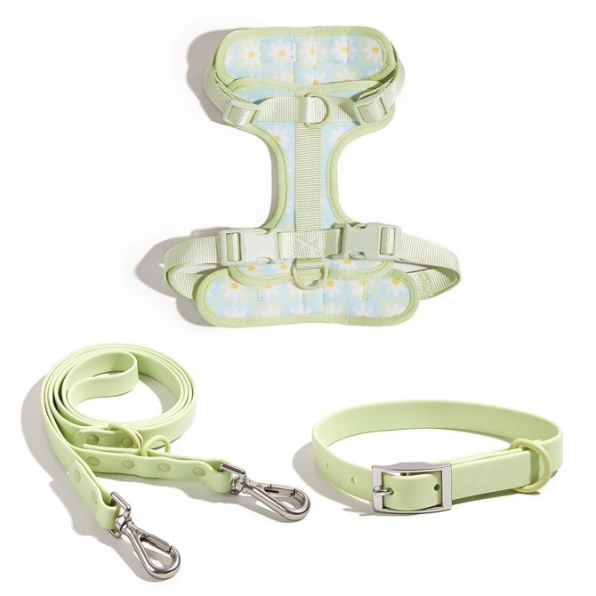 Floral Dog Harness Set