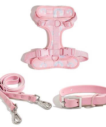 Cute Pattern Leash Set
