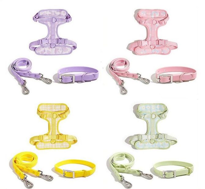 3-in-1 Dog Walking Set - Image 2
