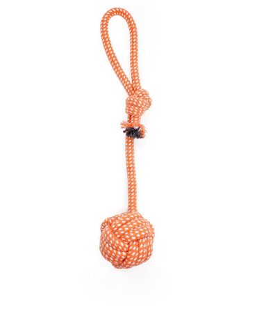 Interactive Pet Rope Toy