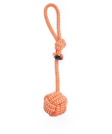 Interactive Pet Rope Toy