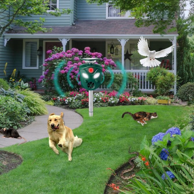2021 New 360 Degree Solar animal Repeller - Image 8