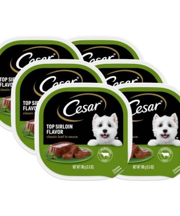(6 pack) CESAR Classic Loaf in Sauce Top Sirloin Flavor Soft Wet Dog Food for Adult Dog, 3.5 oz. Tray